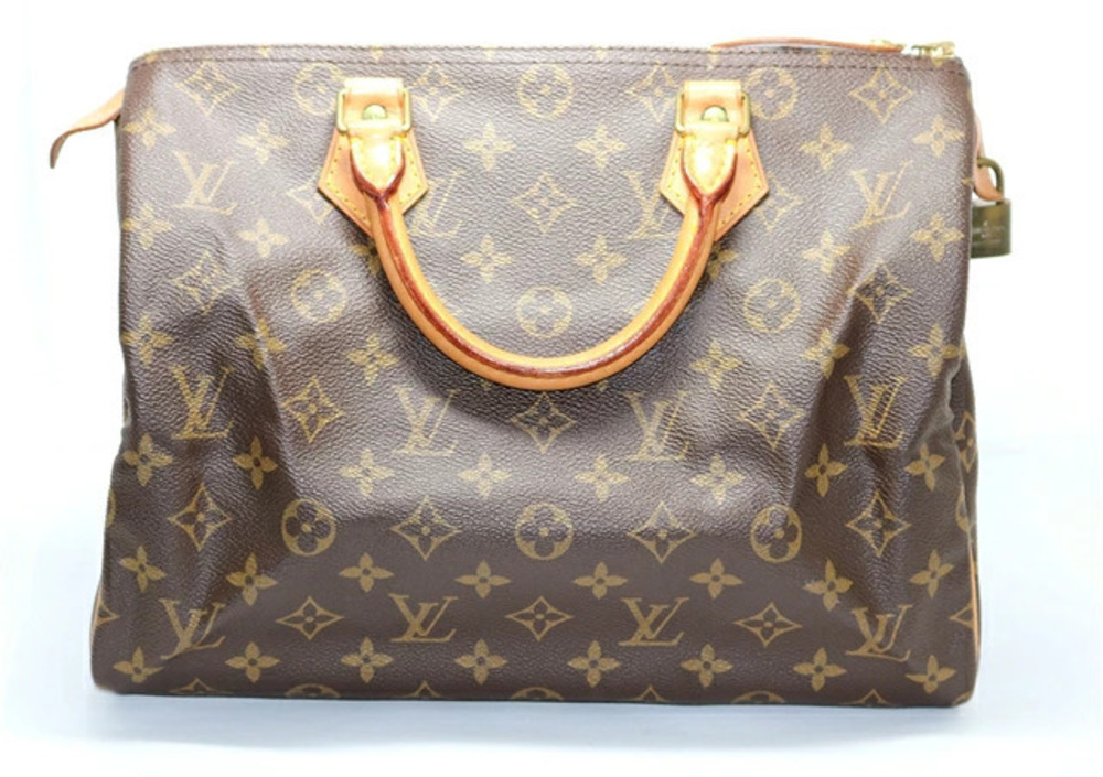 LOUIS VUITTON Speedy Handbag Monogram